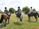 Image 41 in BECCLES AND BUNGAY RC.  OPEN SHOW. 18 JUNE 2017.  WORKING HUNTERS.