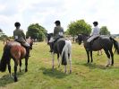 Image 41 in BECCLES AND BUNGAY RC. OPEN SHOW. 18 JUNE 2017. WORKING HUNTERS.