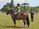 Image 42 in BECCLES AND BUNGAY RC. OPEN SHOW. 18 JUNE 2017. WORKING HUNTERS.