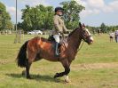Image 43 in BECCLES AND BUNGAY RC. OPEN SHOW. 18 JUNE 2017. WORKING HUNTERS.