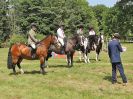 Image 44 in BECCLES AND BUNGAY RC. OPEN SHOW. 18 JUNE 2017. WORKING HUNTERS.