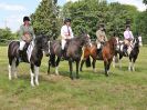 Image 45 in BECCLES AND BUNGAY RC. OPEN SHOW. 18 JUNE 2017. WORKING HUNTERS.