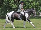 Image 46 in BECCLES AND BUNGAY RC. OPEN SHOW. 18 JUNE 2017. WORKING HUNTERS.
