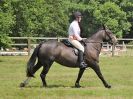 Image 47 in BECCLES AND BUNGAY RC. OPEN SHOW. 18 JUNE 2017. WORKING HUNTERS.