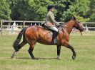 Image 48 in BECCLES AND BUNGAY RC. OPEN SHOW. 18 JUNE 2017. WORKING HUNTERS.