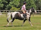 Image 49 in BECCLES AND BUNGAY RC. OPEN SHOW. 18 JUNE 2017. WORKING HUNTERS.