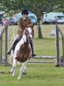Image 5 in BECCLES AND BUNGAY RC.  OPEN SHOW. 18 JUNE 2017.  WORKING HUNTERS.