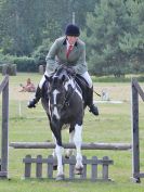 Image 50 in BECCLES AND BUNGAY RC. OPEN SHOW. 18 JUNE 2017. WORKING HUNTERS.