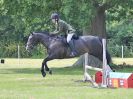 Image 51 in BECCLES AND BUNGAY RC. OPEN SHOW. 18 JUNE 2017. WORKING HUNTERS.