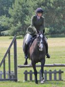 Image 52 in BECCLES AND BUNGAY RC. OPEN SHOW. 18 JUNE 2017. WORKING HUNTERS.