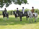 Image 53 in BECCLES AND BUNGAY RC. OPEN SHOW. 18 JUNE 2017. WORKING HUNTERS.