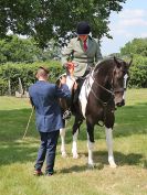 Image 55 in BECCLES AND BUNGAY RC.  OPEN SHOW. 18 JUNE 2017.  WORKING HUNTERS.