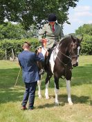Image 55 in BECCLES AND BUNGAY RC. OPEN SHOW. 18 JUNE 2017. WORKING HUNTERS.
