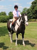 Image 56 in BECCLES AND BUNGAY RC. OPEN SHOW. 18 JUNE 2017. WORKING HUNTERS.