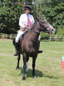 Image 58 in BECCLES AND BUNGAY RC. OPEN SHOW. 18 JUNE 2017. WORKING HUNTERS.