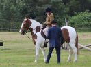 Image 6 in BECCLES AND BUNGAY RC.  OPEN SHOW. 18 JUNE 2017.  WORKING HUNTERS.