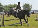 Image 60 in BECCLES AND BUNGAY RC. OPEN SHOW. 18 JUNE 2017. WORKING HUNTERS.