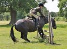 Image 61 in BECCLES AND BUNGAY RC. OPEN SHOW. 18 JUNE 2017. WORKING HUNTERS.
