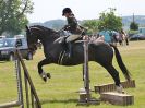 Image 62 in BECCLES AND BUNGAY RC. OPEN SHOW. 18 JUNE 2017. WORKING HUNTERS.