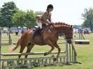 Image 65 in BECCLES AND BUNGAY RC. OPEN SHOW. 18 JUNE 2017. WORKING HUNTERS.