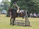Image 66 in BECCLES AND BUNGAY RC.  OPEN SHOW. 18 JUNE 2017.  WORKING HUNTERS.