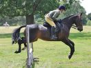 Image 67 in BECCLES AND BUNGAY RC. OPEN SHOW. 18 JUNE 2017. WORKING HUNTERS.