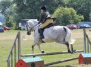 Image 68 in BECCLES AND BUNGAY RC. OPEN SHOW. 18 JUNE 2017. WORKING HUNTERS.