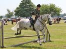 Image 69 in BECCLES AND BUNGAY RC.  OPEN SHOW. 18 JUNE 2017.  WORKING HUNTERS.