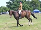 Image 71 in BECCLES AND BUNGAY RC.  OPEN SHOW. 18 JUNE 2017.  WORKING HUNTERS.