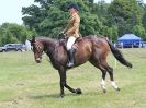 Image 71 in BECCLES AND BUNGAY RC. OPEN SHOW. 18 JUNE 2017. WORKING HUNTERS.