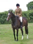 Image 72 in BECCLES AND BUNGAY RC. OPEN SHOW. 18 JUNE 2017. WORKING HUNTERS.
