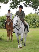 Image 73 in BECCLES AND BUNGAY RC. OPEN SHOW. 18 JUNE 2017. WORKING HUNTERS.