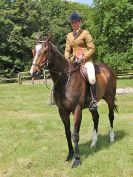 Image 77 in BECCLES AND BUNGAY RC. OPEN SHOW. 18 JUNE 2017. WORKING HUNTERS.