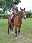 Image 78 in BECCLES AND BUNGAY RC. OPEN SHOW. 18 JUNE 2017. WORKING HUNTERS.
