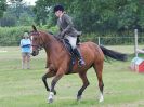 Image 80 in BECCLES AND BUNGAY RC. OPEN SHOW. 18 JUNE 2017. WORKING HUNTERS.