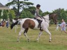 Image 81 in BECCLES AND BUNGAY RC. OPEN SHOW. 18 JUNE 2017. WORKING HUNTERS.