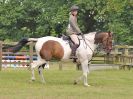 Image 82 in BECCLES AND BUNGAY RC. OPEN SHOW. 18 JUNE 2017. WORKING HUNTERS.