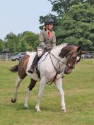 Image 83 in BECCLES AND BUNGAY RC. OPEN SHOW. 18 JUNE 2017. WORKING HUNTERS.