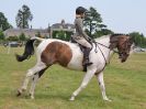 Image 84 in BECCLES AND BUNGAY RC. OPEN SHOW. 18 JUNE 2017. WORKING HUNTERS.
