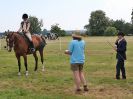 Image 87 in BECCLES AND BUNGAY RC. OPEN SHOW. 18 JUNE 2017. WORKING HUNTERS.