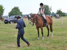 Image 88 in BECCLES AND BUNGAY RC. OPEN SHOW. 18 JUNE 2017. WORKING HUNTERS.