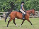 Image 90 in BECCLES AND BUNGAY RC. OPEN SHOW. 18 JUNE 2017. WORKING HUNTERS.
