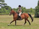 Image 91 in BECCLES AND BUNGAY RC. OPEN SHOW. 18 JUNE 2017. WORKING HUNTERS.