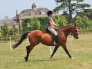 Image 92 in BECCLES AND BUNGAY RC. OPEN SHOW. 18 JUNE 2017. WORKING HUNTERS.