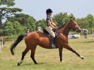 Image 93 in BECCLES AND BUNGAY RC. OPEN SHOW. 18 JUNE 2017. WORKING HUNTERS.