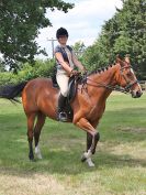 Image 94 in BECCLES AND BUNGAY RC. OPEN SHOW. 18 JUNE 2017. WORKING HUNTERS.