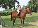 Image 95 in BECCLES AND BUNGAY RC. OPEN SHOW. 18 JUNE 2017. WORKING HUNTERS.