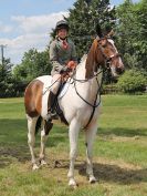Image 96 in BECCLES AND BUNGAY RC. OPEN SHOW. 18 JUNE 2017. WORKING HUNTERS.