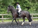 BBRC. EVENING DRESSAGE. 29 JUNE 2017