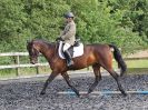 Image 11 in BBRC. EVENING DRESSAGE. 29 JUNE 2017